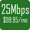 25Mb Service for $99.95 per month